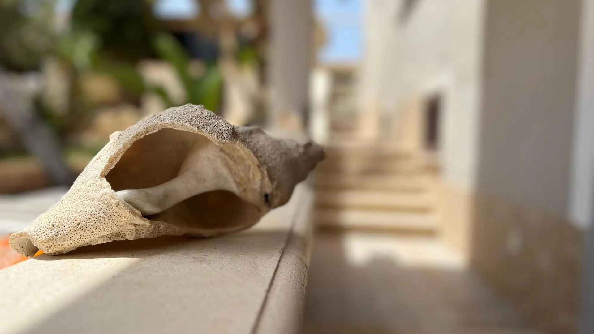 Mimma House Apartman Lampedusa